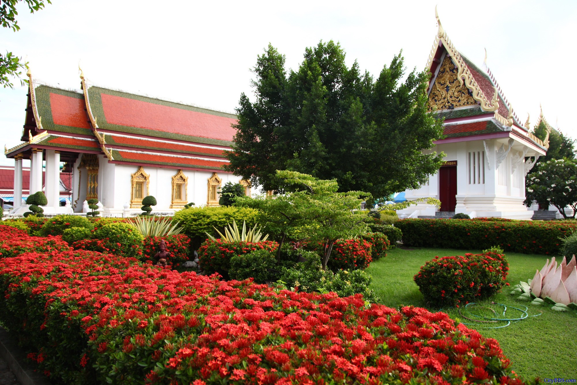 彭世洛(Phitsanulok)斯吗哈搭寺,当地称为Wat Yai(大庙) 彭世洛(Phitsanulok)斯吗哈搭寺,当地称为Wat Yai(大庙)