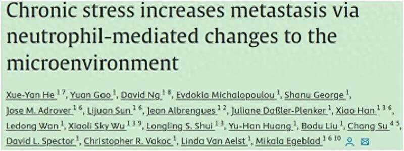 压力会导致某些称为中性粒细胞的白细胞形成粘性网状结构 压力会导致某些称为中性粒细胞的白细胞形成粘性网状结构